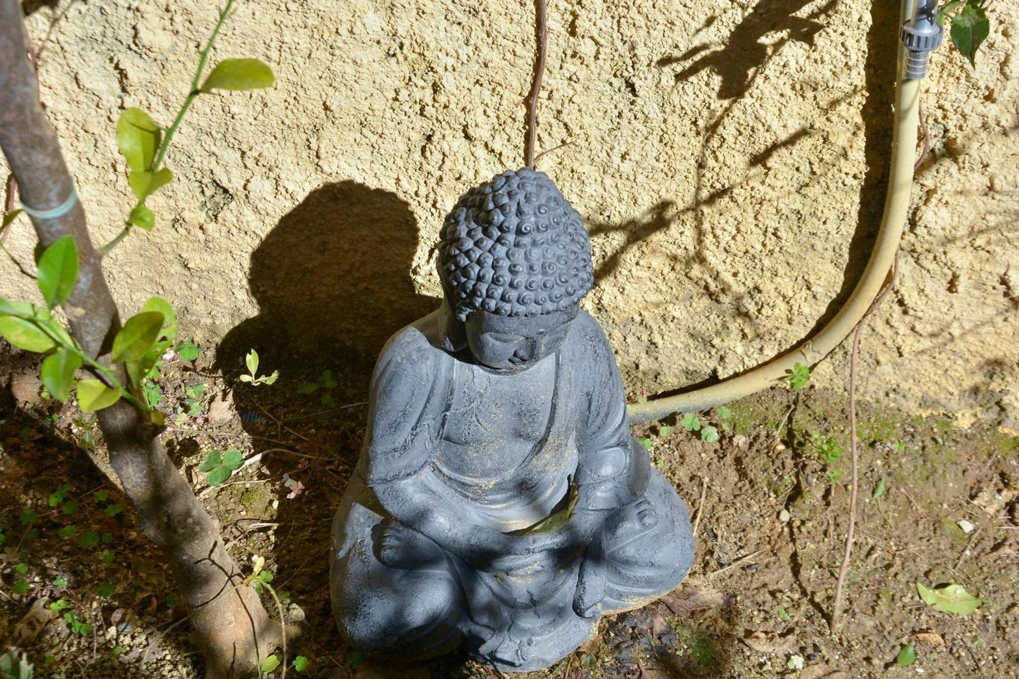 شقة Τhe Hidden Garden Corfu  المظهر الخارجي الصورة