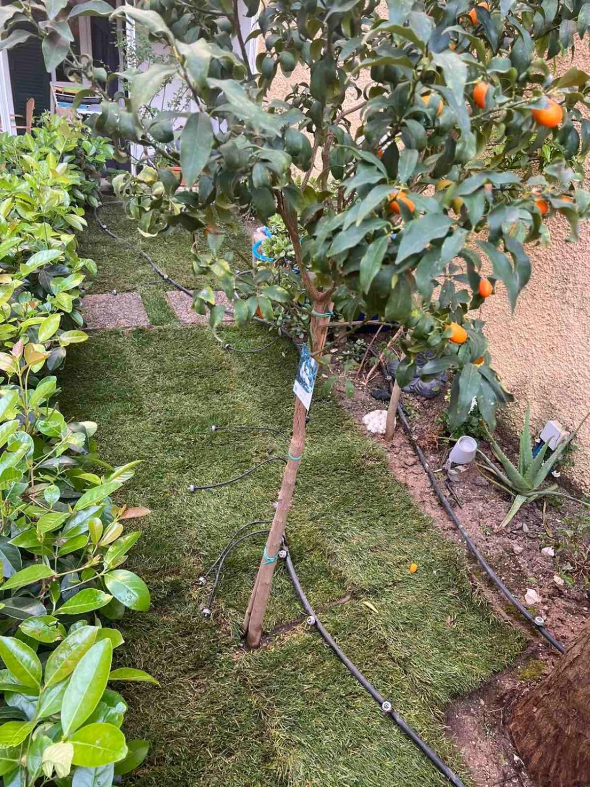 شقة Τhe Hidden Garden Corfu  المظهر الخارجي الصورة