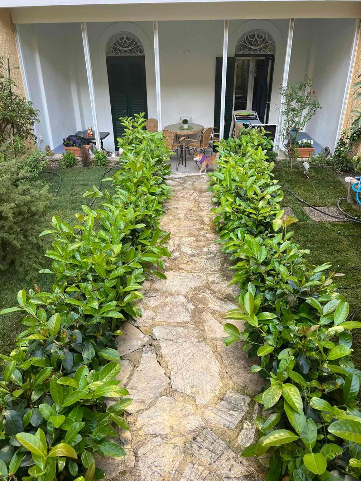 شقة Τhe Hidden Garden Corfu  المظهر الخارجي الصورة