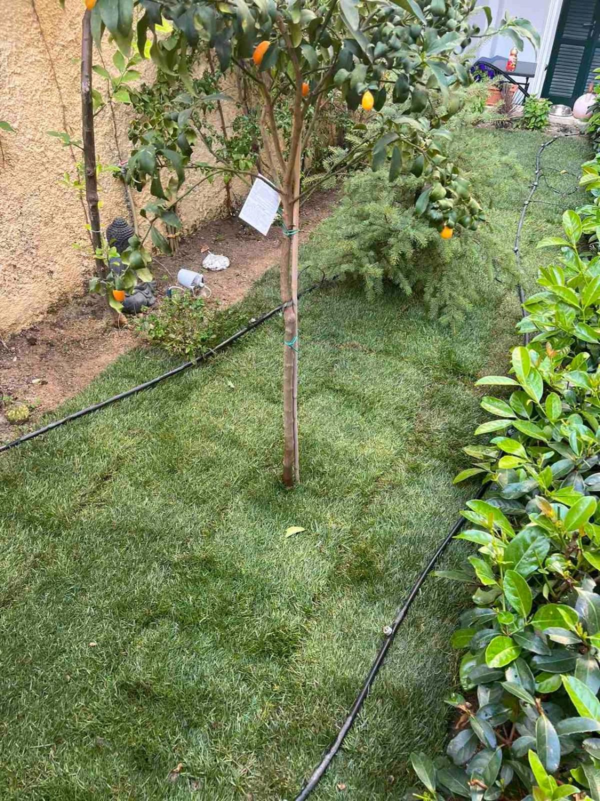 شقة Τhe Hidden Garden Corfu  المظهر الخارجي الصورة